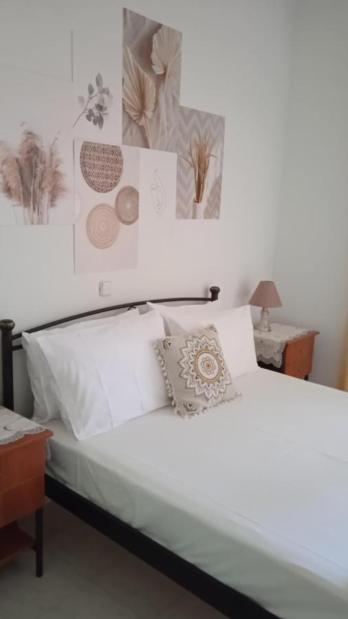 普雷韦扎Αlexandras House公寓 外观 照片