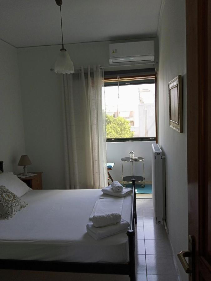 普雷韦扎Αlexandras House公寓 外观 照片