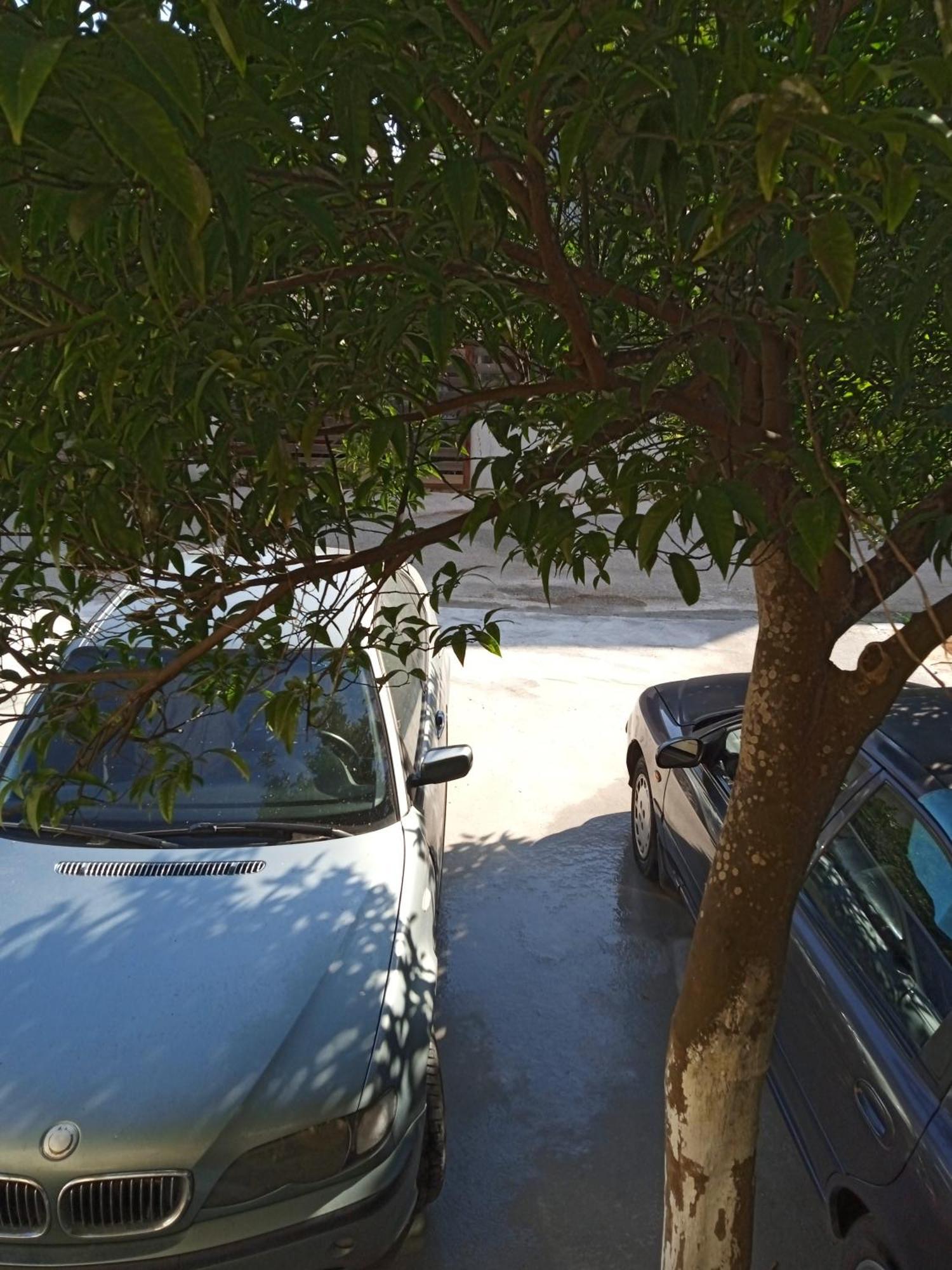 普雷韦扎Αlexandras House公寓 外观 照片